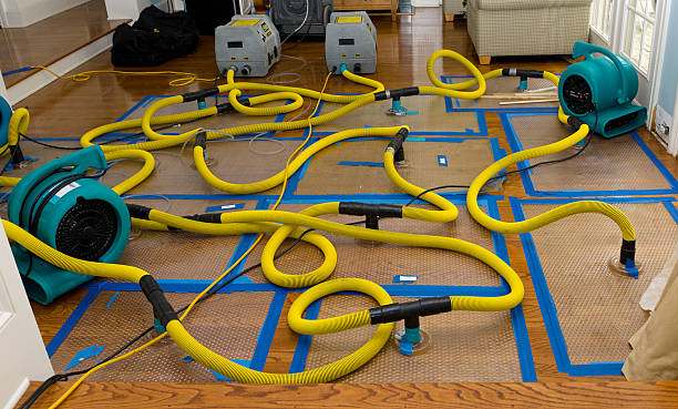 Professional Water Damage Restoration technician working in Hayfield, MN
